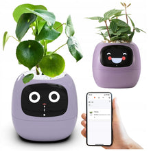 Load image into Gallery viewer, Leafora™ - AI Ivy Smarter Planter - Leafora™