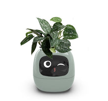 Load image into Gallery viewer, Leafora™ - AI Ivy Smarter Planter - Leafora™
