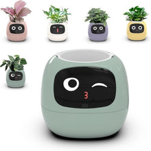Load image into Gallery viewer, Leafora™ - AI Ivy Smarter Planter - Leafora™
