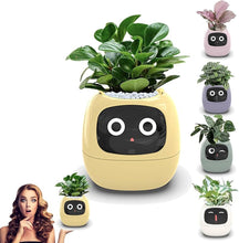 Load image into Gallery viewer, Leafora™ - AI Ivy Smarter Planter - Leafora™
