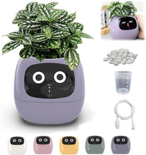 Load image into Gallery viewer, Leafora™ - AI Ivy Smarter Planter - Leafora™
