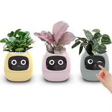 Load image into Gallery viewer, Leafora™ - AI Ivy Smarter Planter - Leafora™
