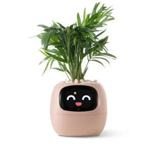 Load image into Gallery viewer, Leafora™ - AI Ivy Smarter Planter - Leafora™
